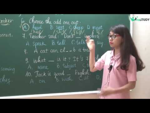 [Vinastudy.vn] English for Children - Số 1 - Dạng bài FIND THE HONEY - IOE - cô Nguyễn Như Quỳnh